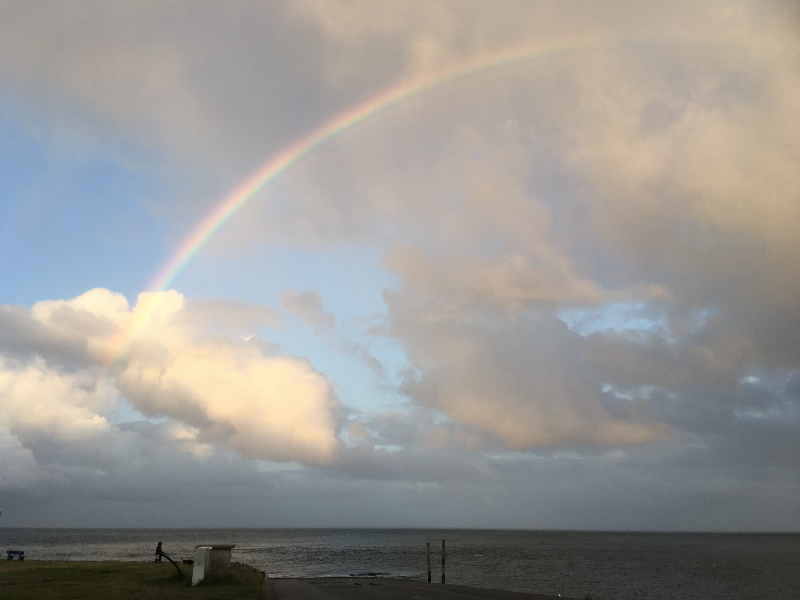 Der Regenbogen für Kulturentwicklung Coaching in Organisationen